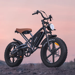 JANSNO Electric Bike 20" X 4.0 Electric Bicycle For Adults With 500W Brushless Motor Long-Lasting 48V 14Ah Removable Battery Fat Tires Mountain Bike