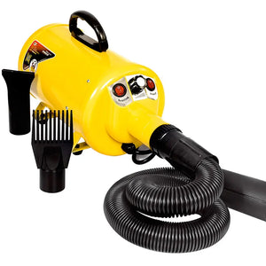 Portble 2000w Cat Dog Pet Dryer Blower 220v for Dogs Four Colors Dog Hair Dryer with 3 Nozzles