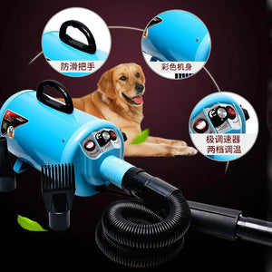 Portble 2000w Cat Dog Pet Dryer Blower 220v for Dogs Four Colors Dog Hair Dryer with 3 Nozzles