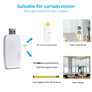 Zemismart Tuya Wifi USB Dongle For Am15 RF Roller Shade Motor App Control Mini Design Smart Curtain Motor - Stereotech