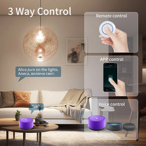 20A Tuya WiFi Smart Switch - Stereotech