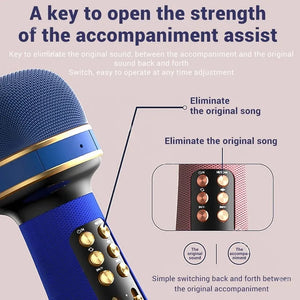 Professional Wireless Bluetooth Karaoke Microphone Portable Music Sing Mic Voice Changing Audio Speaker Player Accessory