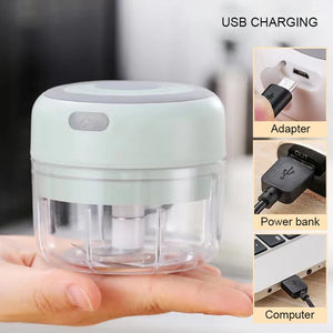 Mini Electric Vegetable Chopper - Stereotech