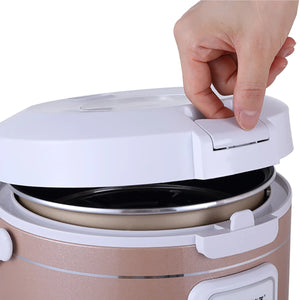 24V 220V Rice Cooker Truck Soup Steamer Heating Lunch Box Meal Heater Warmer 3L Home Appliance for Camping Gold English Menu