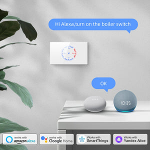 AVATTO Tuya WiFi Boiler Switch，Smart 4400W Countdown APP Remote Control Water Heater Switch For Israel,works Alexa Google home - Stereotech