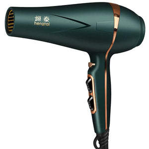 110V,220V Professional Hair Salon Hair Dryer, High-Power High-Speed Blue Light Negative Ion Hair Dryer, US/EU/AU Plug