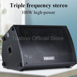 8 Inch Acoustic Guitar Amplifier Speaker Sax Ukulele Piano Practice AMP Built-in Chorus Reverb Delay Effect 100W Outdoor Speaker