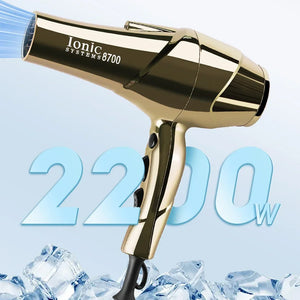 2200W Professional Hair Dryer Gold-plated Blowdryer for Salon High Speeds Strong Winds Powerful Wind 6 Gears Low Noise Blower